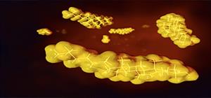 kolesrerol ve triglyceride