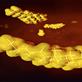 kolesrerol ve triglyceride